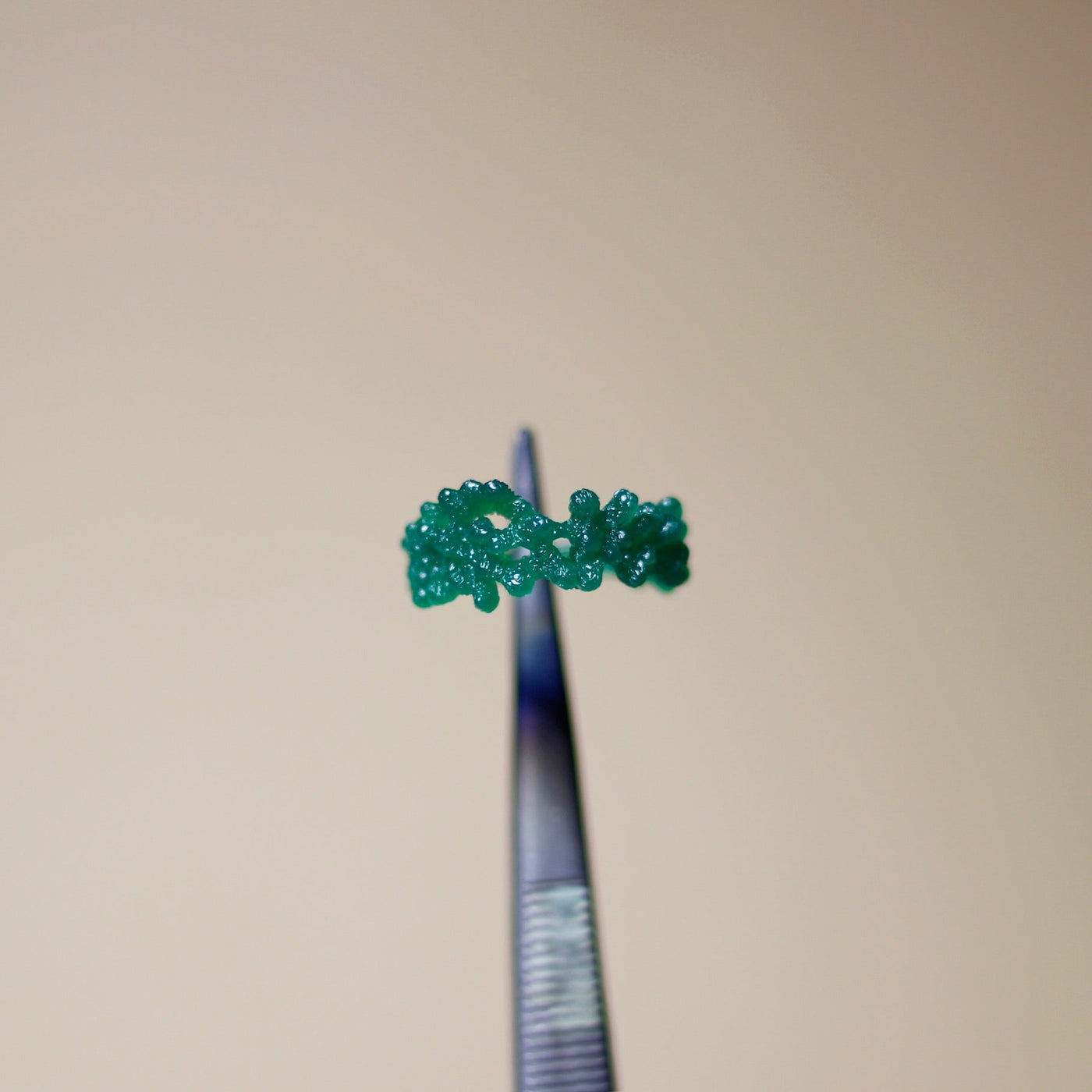 Beginner Wax Carving Workshop