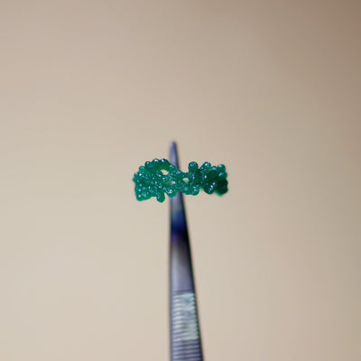 Beginner Wax Carving Workshop