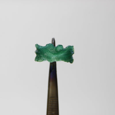 Beginner Wax Carving Workshop